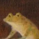 frogdisco2021 avatar