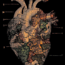 frogfrombooks avatar