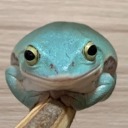 froggayy avatar