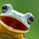 froggggyy avatar