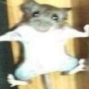 froggiesssssssssss7 avatar