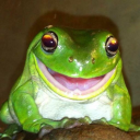 froggo-friend avatar