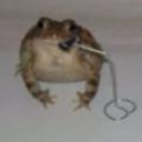 froggocrew avatar