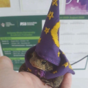 froggy-wizard avatar