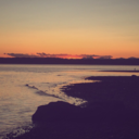 froggy99sworld avatar