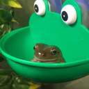 froggyunsortedmedia avatar