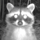 froggywritesstuff avatar