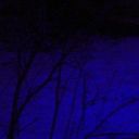 frogmanindisguise avatar