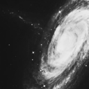 frogpolitician avatar