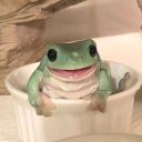 frogposting avatar