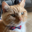 frogsittingoncoffee avatar