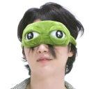 frogtansonyeondan avatar