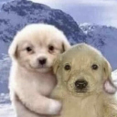 frogthebeloved avatar