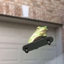 frogwearingsocks avatar