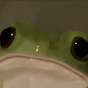 frogwithmask avatar