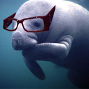 frolickingthroughmanatees avatar