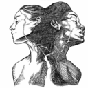 from-disaster avatar