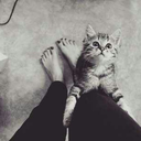 from-my-moon-blog avatar