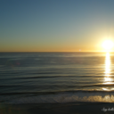 from-the-top-blog avatar