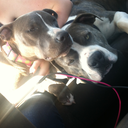 from-themind-ofme avatar