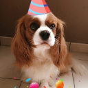 from-thoseghosts avatar