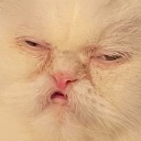 fromdusktilldong avatar