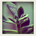 frommkewithlove avatar