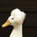 fromthebreakroom avatar