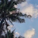 fromtheretohere avatar