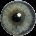 frontierscribbler avatar