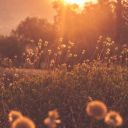 frontrowticket avatar