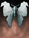 frost-mothit avatar