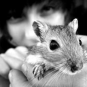 frostbite--blog avatar