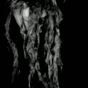 frostblossoms avatar