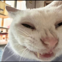 frostedflakes52 avatar