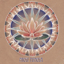 frostmimosa avatar