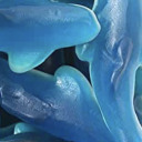 frosty-orca avatar