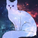 frostythespacecat avatar