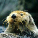 frozen0711-blog avatar