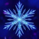 frozencollectibles avatar