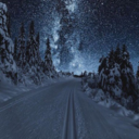 frozenforevercold avatar