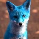 frozenfoxtails avatar