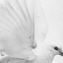 frozenheartedmess avatar