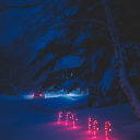 frozenmeadows avatar