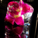 frozenorchid92 avatar