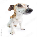 fruitbasket45 avatar