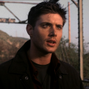 fruitbatfromhell avatar