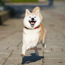 fruitbythefart avatar