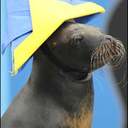 fruitcakecroupier-blog avatar