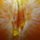 fruitful-fascination avatar